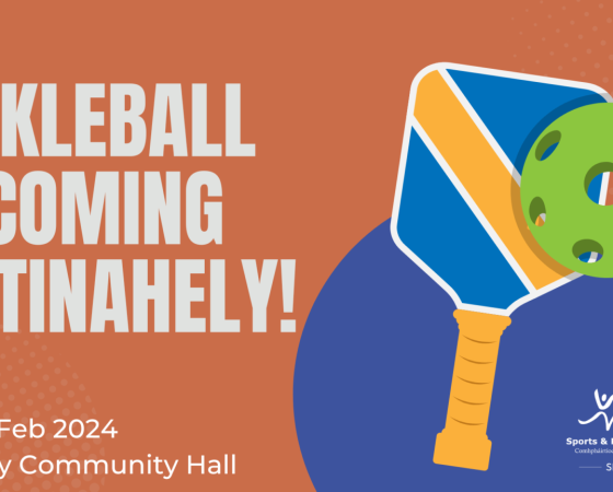 Pickleball is coming to Tinahely