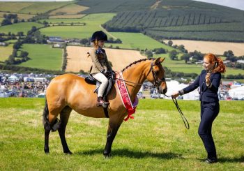 Tinahely Diary